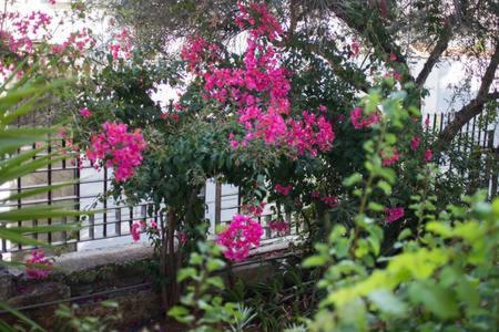 Glyfada Riviera 公寓 *